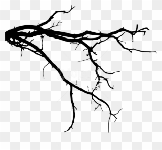 Free Png Tree Branch Png - Black Tree Limbs Png Clipart