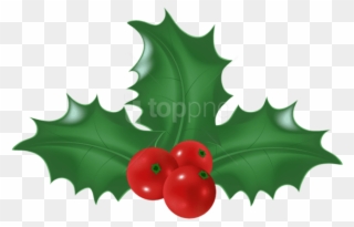 Free Png Holly Mistletoe Png - Illustration Clipart