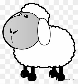 Sheep Animal Free Black White Clipart Images Clipartblack - Colouring Pages For Sheep - Png Download