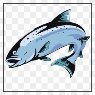 Grabbable 7 Of - Jumping Salmon Fish Clipart