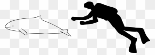 Atlantic Spotted Dolphin Size Clipart