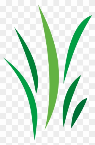 Free Cool Vector Designs Png - Blade Of Grass Illustration Clipart