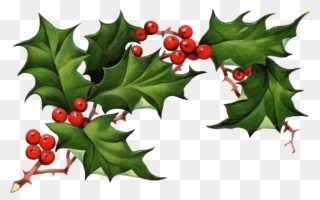Christmas Holly Png Christmas Clipart Holly The Best - Christmas Elements Png Transparent Png