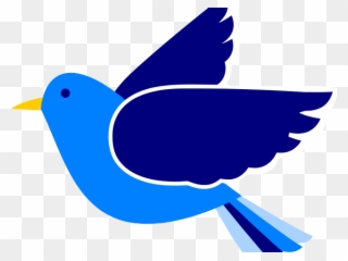 Bluebird Clipart Colourful Bird - Bird Beak Clipart Transparent Background - Png Download
