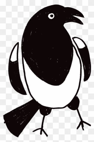 Talk For Writing Magpie Clipart