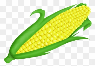 Fall Corn Cliparts - Corn On The Cob Clipart - Png Download