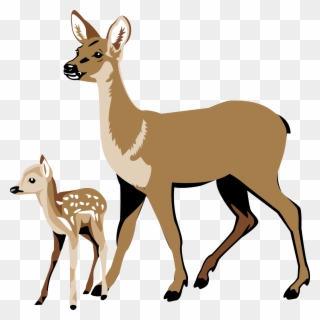 Whitetail Deer Clipart - Deer And Fawn Clipart - Png Download