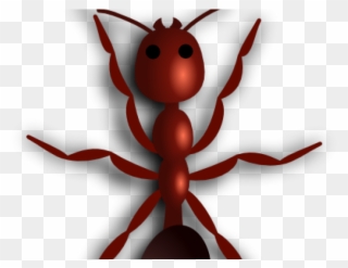 Drawn Ant Fire Ant - Ant Clip Art - Png Download