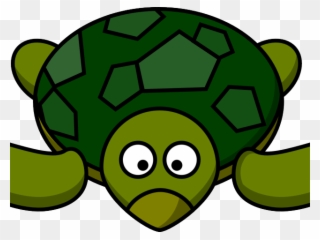 Sea Life Clipart Organisms - Sea Turtle Clipart Png Transparent Png