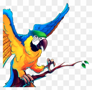 Artwork - - Macaw Clipart