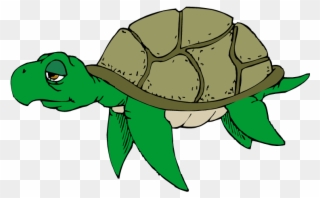 Cartoon Turtle Clipart Free Clip Art Image Image - Sad Turtle Clip Art - Png Download