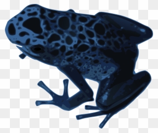 Amphibian Clip Art Download - Blue Poison Dart Frog - Png Download