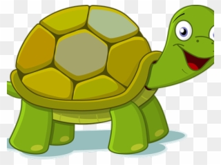 Cartoon Pictures Of Turtles - Transparent Background Turtle Clipart Png