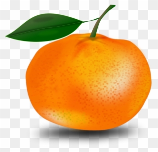 Pix For Clip Art Orange - Orange With A Leaf - Png Download