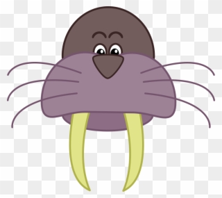 Walrus Free To Use Clipart - Cartoon Walrus Head - Png Download