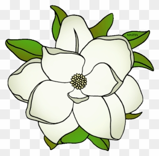 State Flower Of Mississippi - Magnolia Flowers Clipart Black And White - Png Download