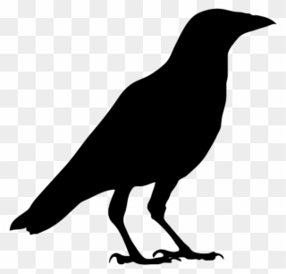 Crow Clipart Clipartfox - Outline Picture Of Crow - Png Download