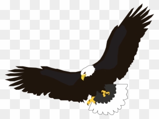 Free Usa Eagles Clipart Free Clipart Graphics Image - Eagle Clipart Png Transparent Png