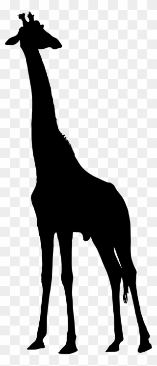 Clipart - Clipart Giraffe Silhouette - Png Download