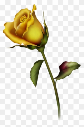Yellow Rose Bud Art Clipart - Rose Bud Tattoo Design - Png Download