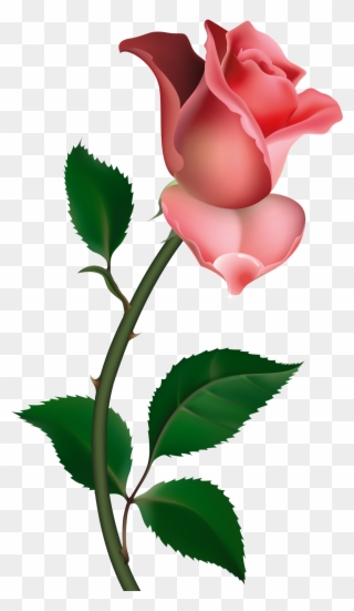 Roses Clip Art - Free Clipart Rose - Png Download