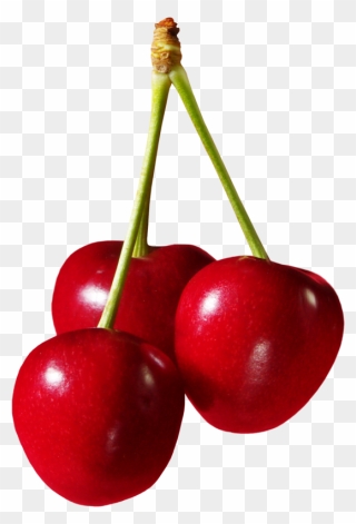 Cherry Fruit Png Clipart
