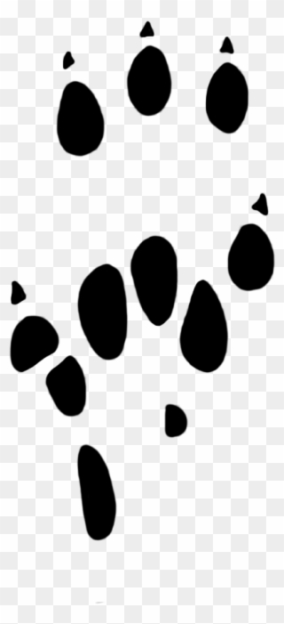 Download Free Printable Clipart And Coloring Pages - Rat Paw Print Png Transparent Png