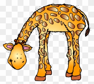Furlough Clipart - Melonheadz Zoo Clipart - Png Download
