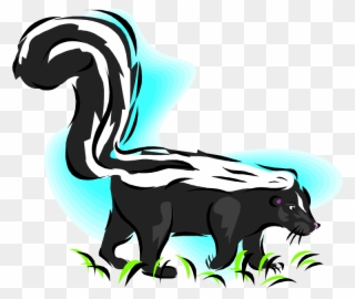 Picture Free Free - Free Skunk Clipart - Png Download
