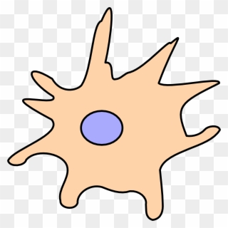 Dendritic Cell Png Clipart
