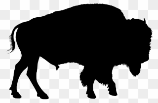 Clip Art Animal Bison American Drawing - Buffalo Silhouette - Png Download
