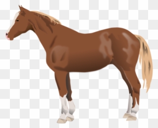 Appaloosa American Paint Horse American Quarter Horse - Qui Suis Je Animaux Clipart
