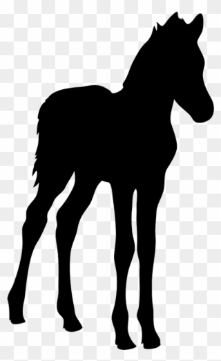 Horse Silhouette - Baby Horse Silhouette Clipart