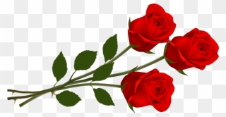 Red Rose Clipart - Three Red Roses - Png Download