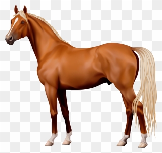 Horse Clipart 7 Clip Art - Horse Png Transparent Png
