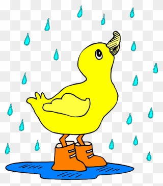 Sad Duck Cliparts - Cartoon Duck In The Rain - Png Download