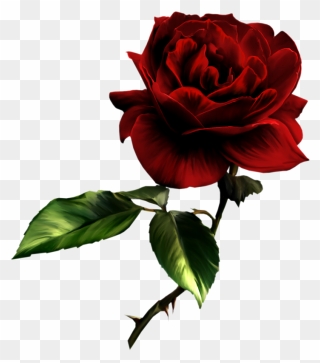 Free Rose Pictures - Sympathy To A Dear Friend Clipart
