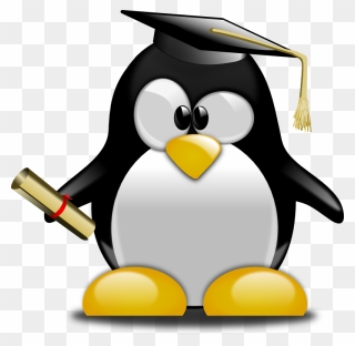 Graduation Ceremony Tuxedo Graduate University Penguin - Graduation Penguin Clipart - Png Download