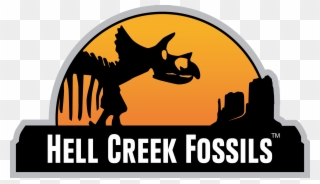 Fossil Clipart Archeologist - Graphic Design - Png Download