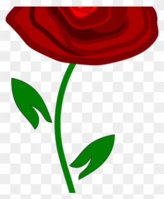 Red Rose Clipart Www Love - Rosa Vermelha Bela Png Transparent Png