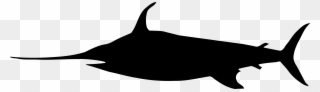 Silhouette Swordfish Black And White Whiskers Cartoon - Pez Espada Png Silueta Clipart