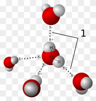 Molecule Clipart Water Molecule - Hydrogen Bonding - Png Download