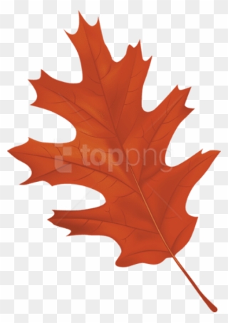 Free Png Download Brown Autumn Leaf Clipart Png Photo - Autumn Leaf Clipart Png Transparent Png