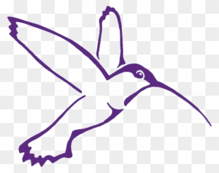 Colibri Facilitation Bringing Ideas To Life Through - Hummingbird Clipart