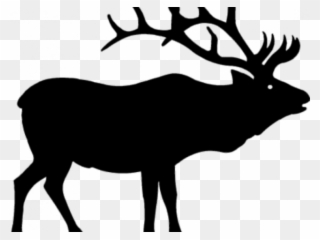 Caribou Clipart Elk - Elk Skull - Png Download