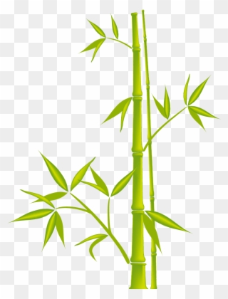 Бамбук Png - Bamboo Clip Art Free Transparent Png