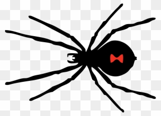 Clipart Of Spider, Spider To And Spider In - Widow Spiders - Png Download