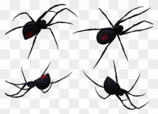 Arachnid Clipart Spider Outline - Black Widow - Png Download