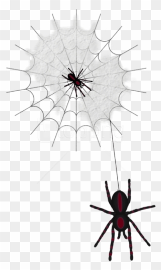 Free Png Halloween Web With Spiders Png Images Transparent - Паутина Клипарт Прозрачный Фон Clipart