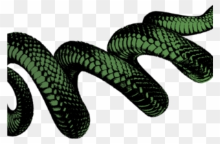 Viper Clipart Snake Venom - Transparent Background Snake Png